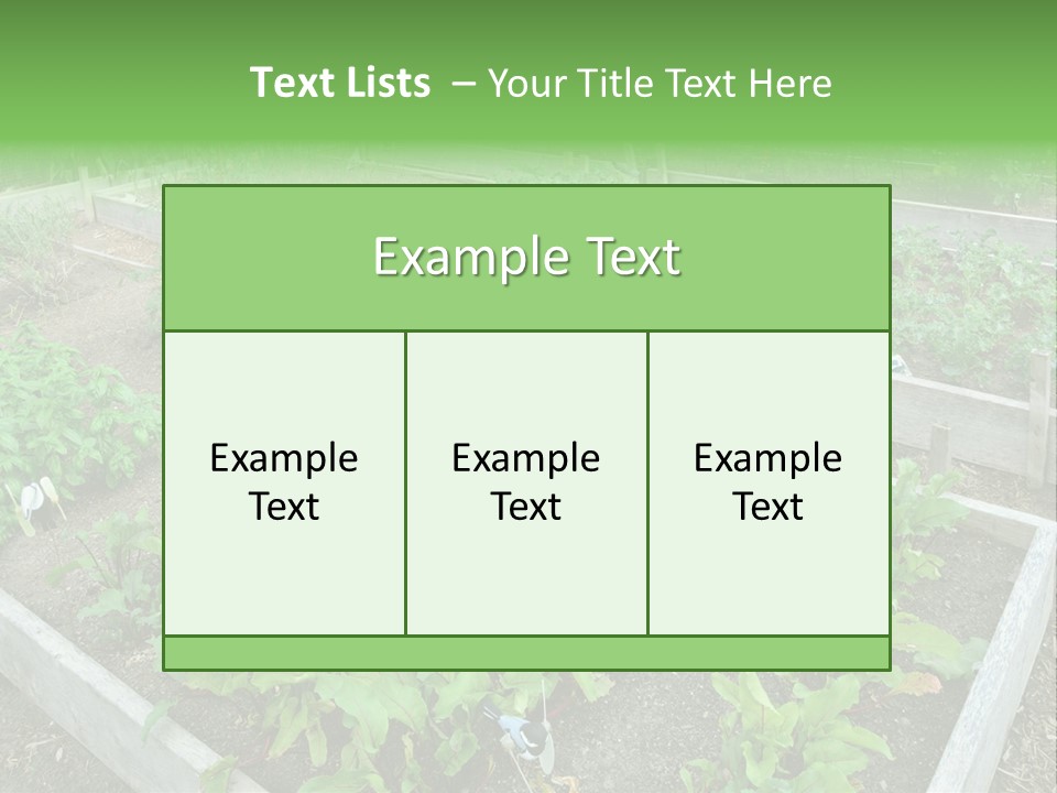 Sunrise Older Wellness PowerPoint Template