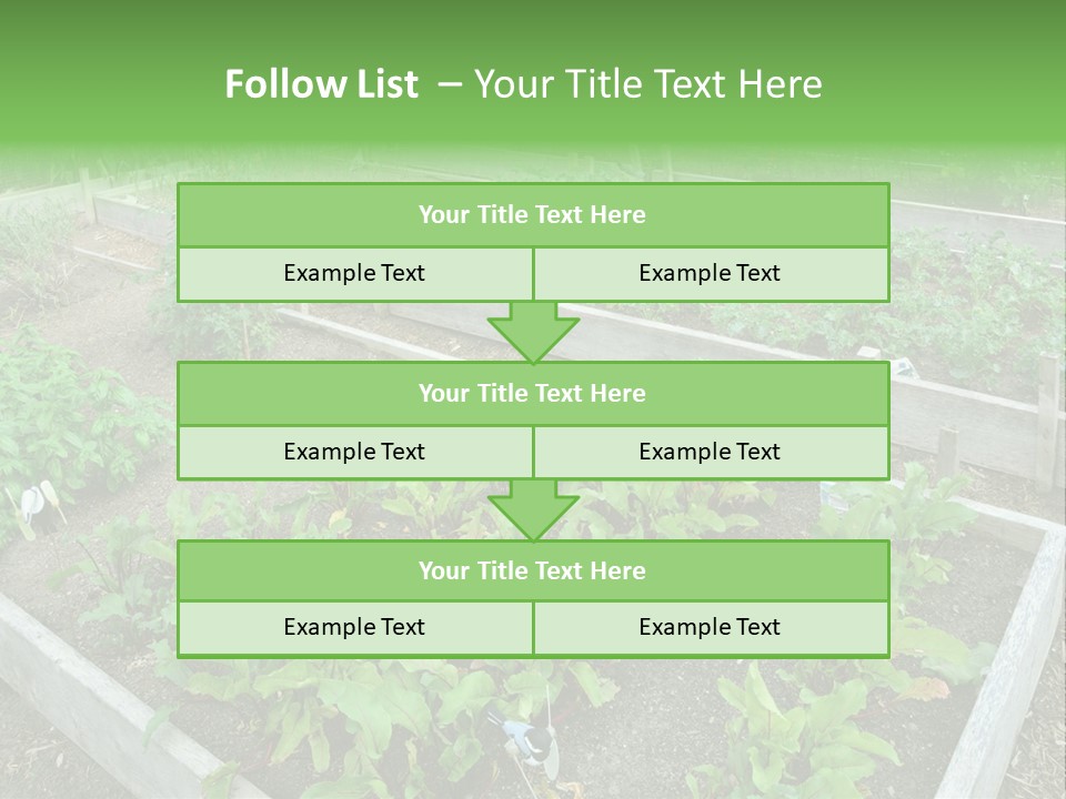 Sunrise Older Wellness PowerPoint Template