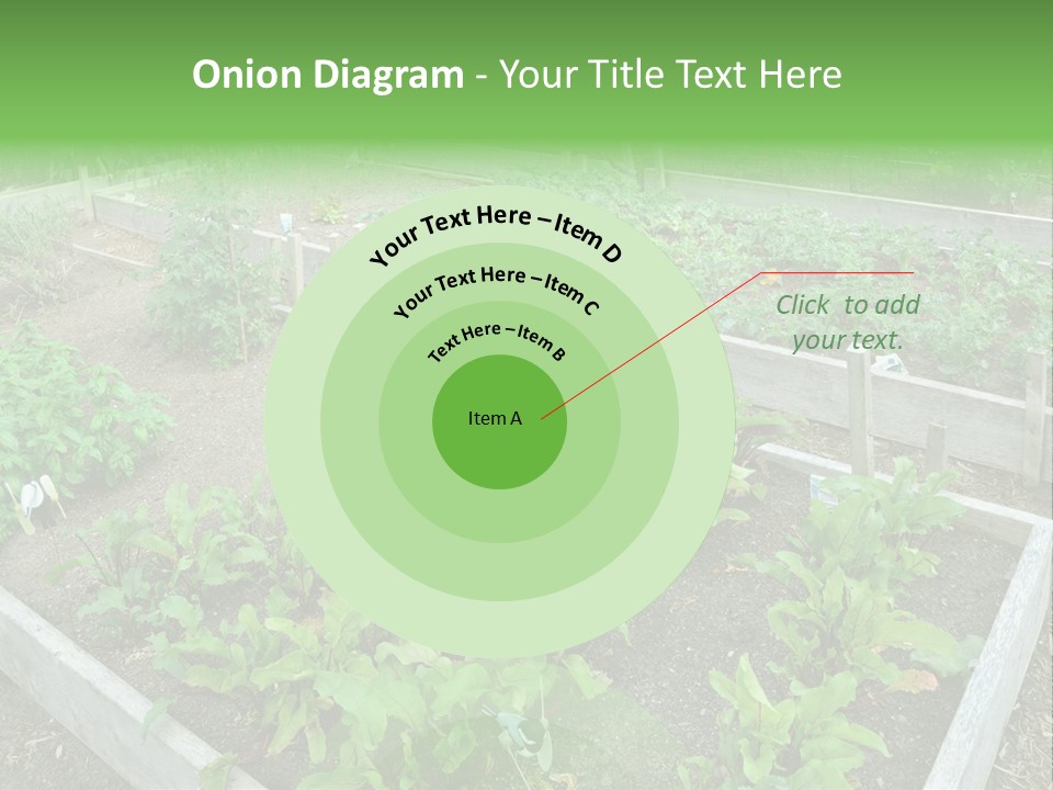 Sunrise Older Wellness PowerPoint Template