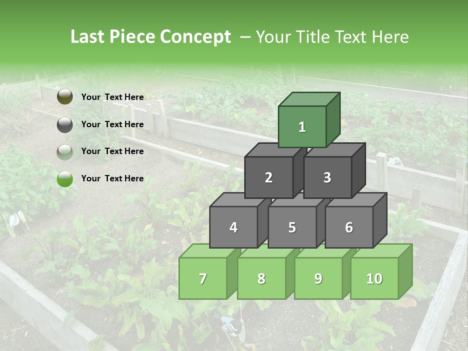 Sunrise Older Wellness PowerPoint Template