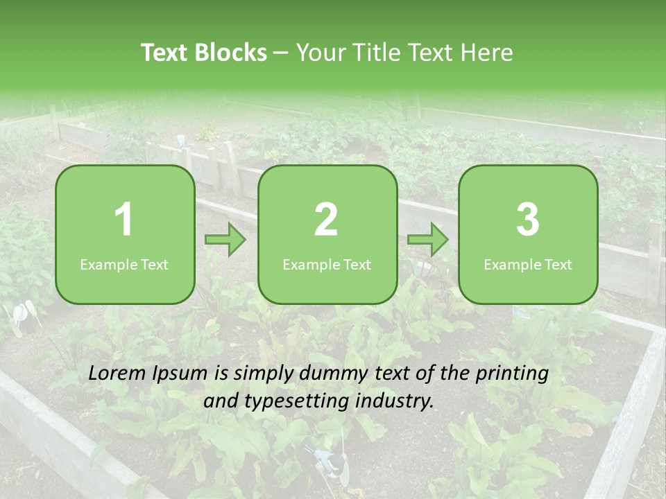 Sunrise Older Wellness PowerPoint Template