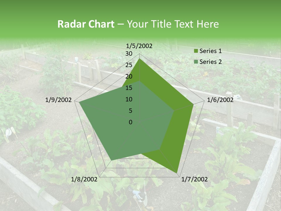 Sunrise Older Wellness PowerPoint Template