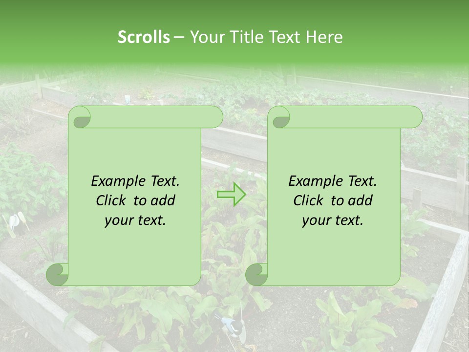 Sunrise Older Wellness PowerPoint Template