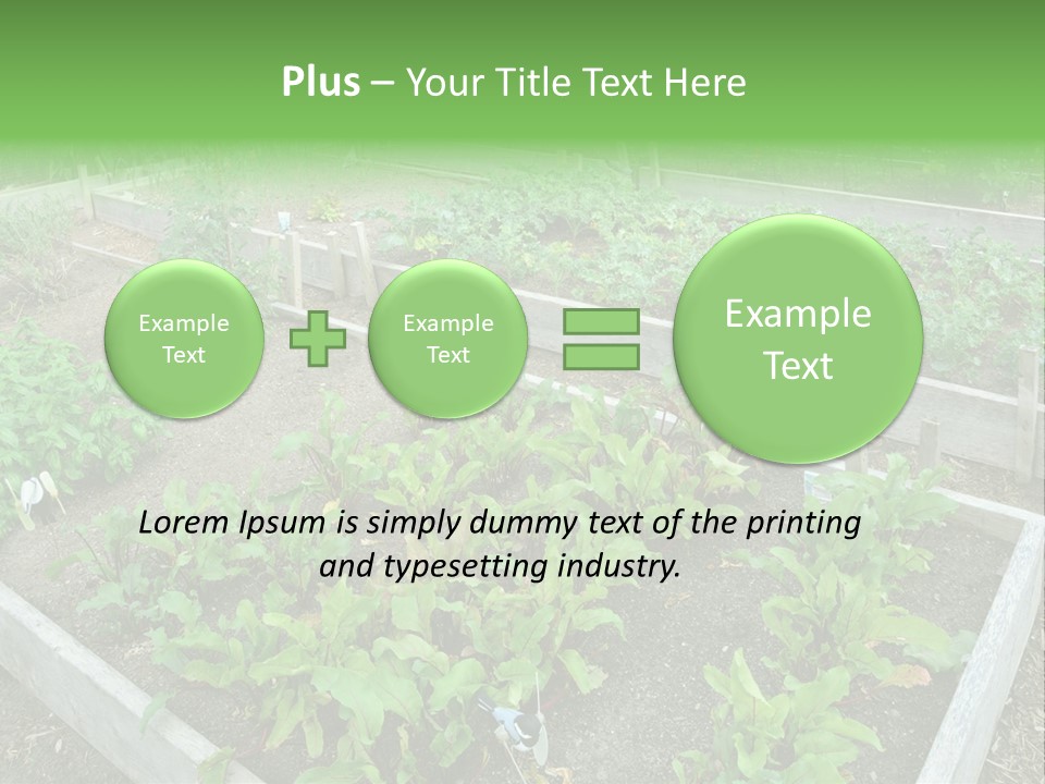 Sunrise Older Wellness PowerPoint Template