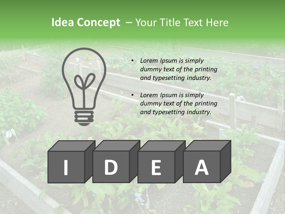 Sunrise Older Wellness PowerPoint Template