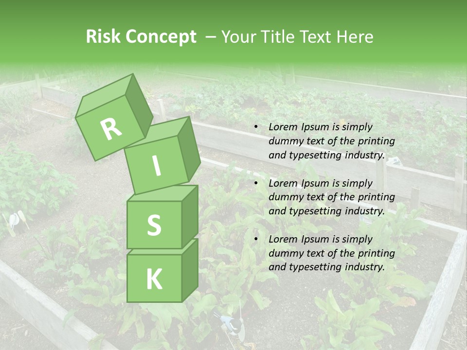 Sunrise Older Wellness PowerPoint Template