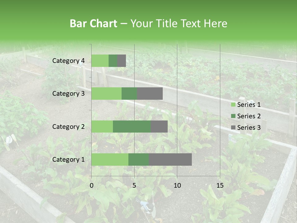Sunrise Older Wellness PowerPoint Template