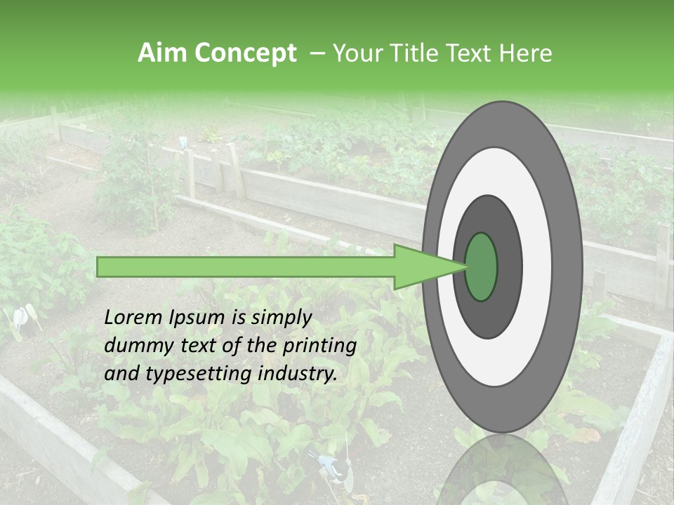 Sunrise Older Wellness PowerPoint Template