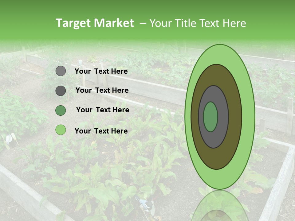 Sunrise Older Wellness PowerPoint Template