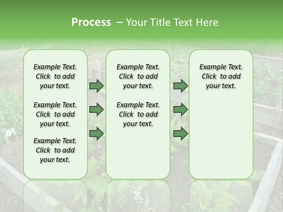 Sunrise Older Wellness PowerPoint Template