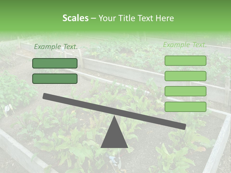 Sunrise Older Wellness PowerPoint Template