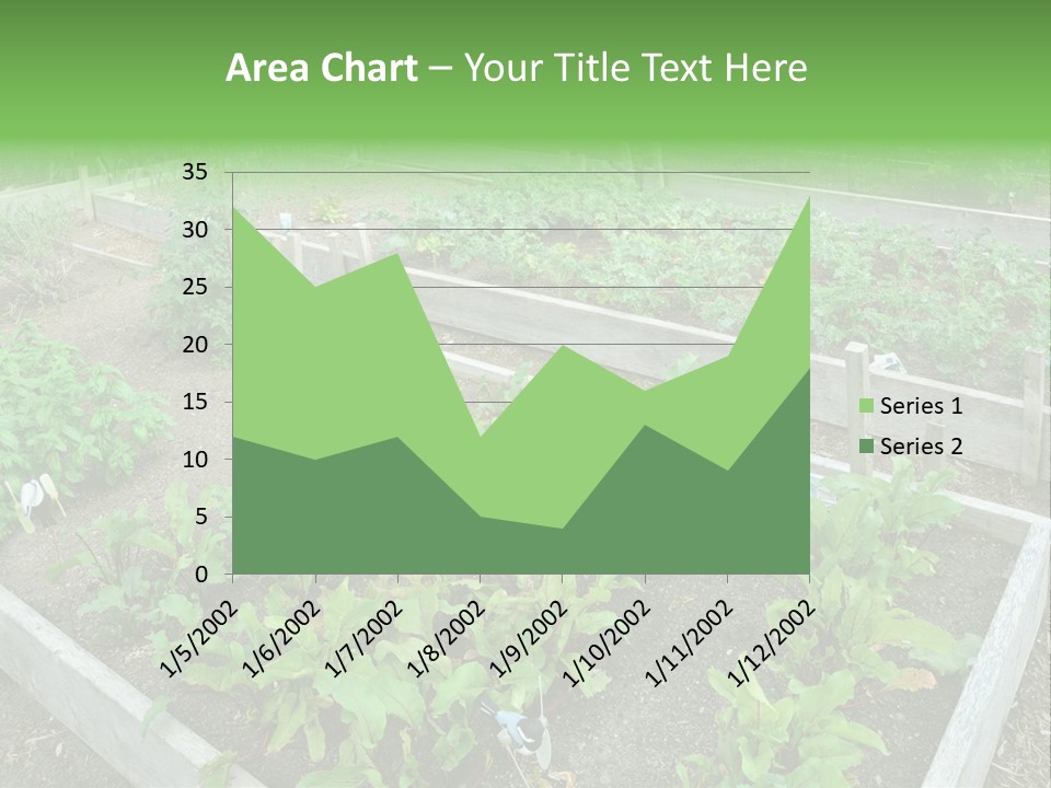 Sunrise Older Wellness PowerPoint Template