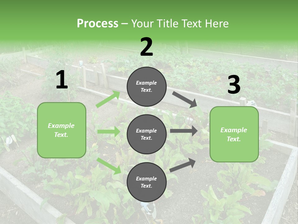 Sunrise Older Wellness PowerPoint Template