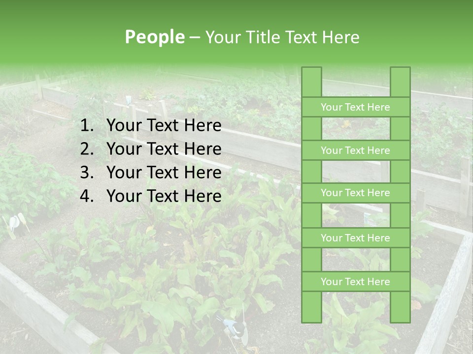 Sunrise Older Wellness PowerPoint Template