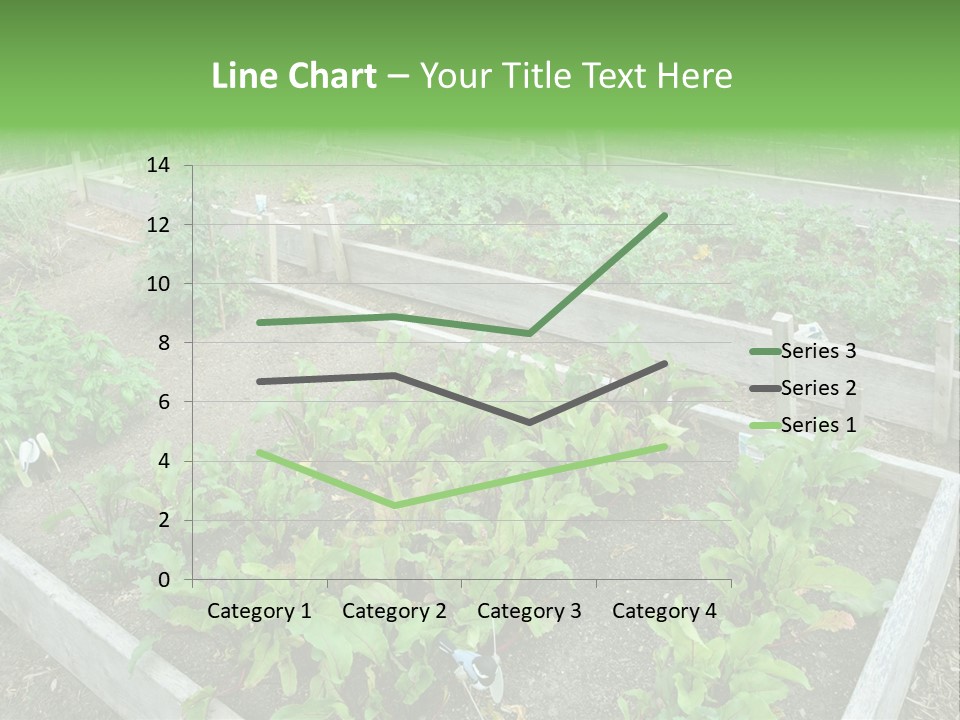Sunrise Older Wellness PowerPoint Template