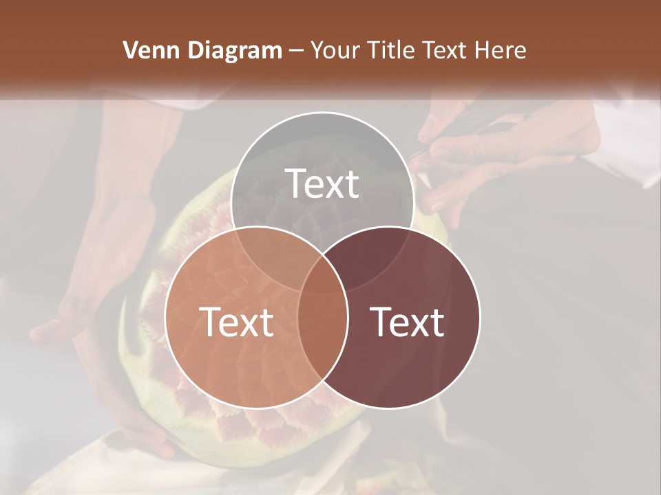 Sea Ocean White PowerPoint Template