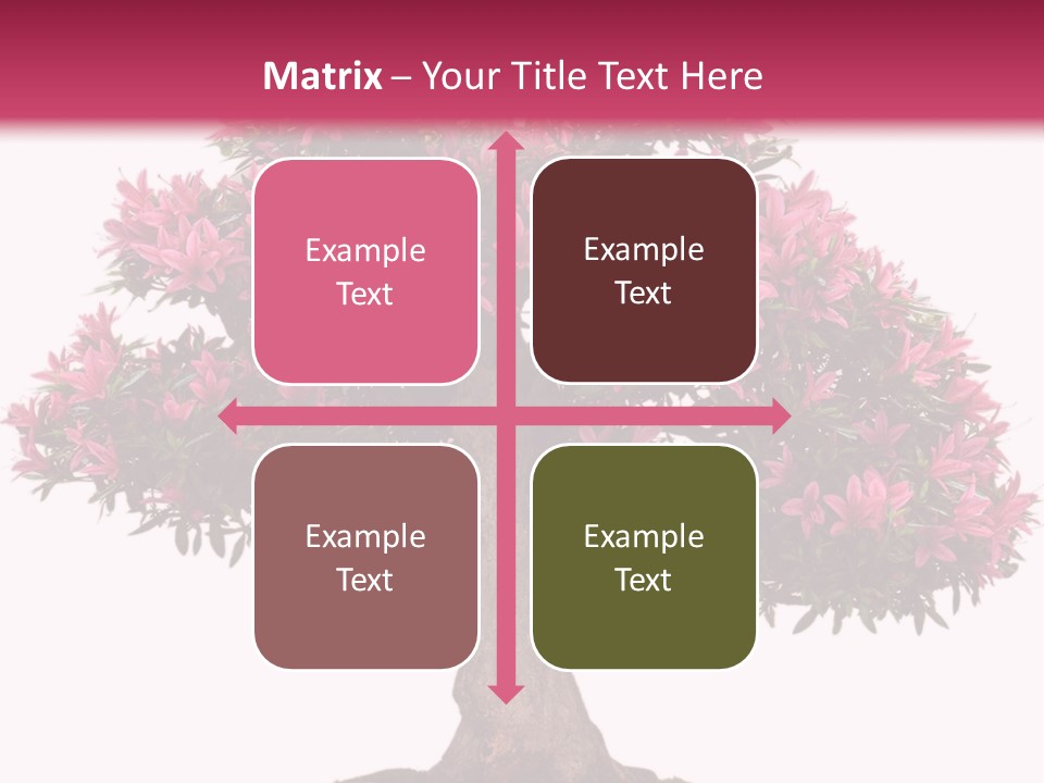 Portrait Elderly Calm PowerPoint Template