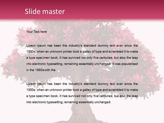 Portrait Elderly Calm PowerPoint Template