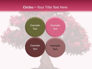 Portrait Elderly Calm PowerPoint Template