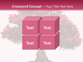 Portrait Elderly Calm PowerPoint Template