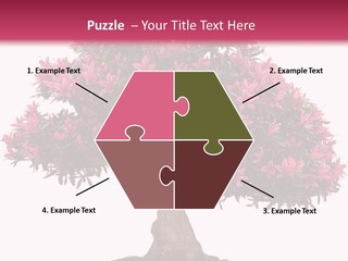 Portrait Elderly Calm PowerPoint Template