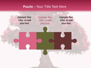 Portrait Elderly Calm PowerPoint Template