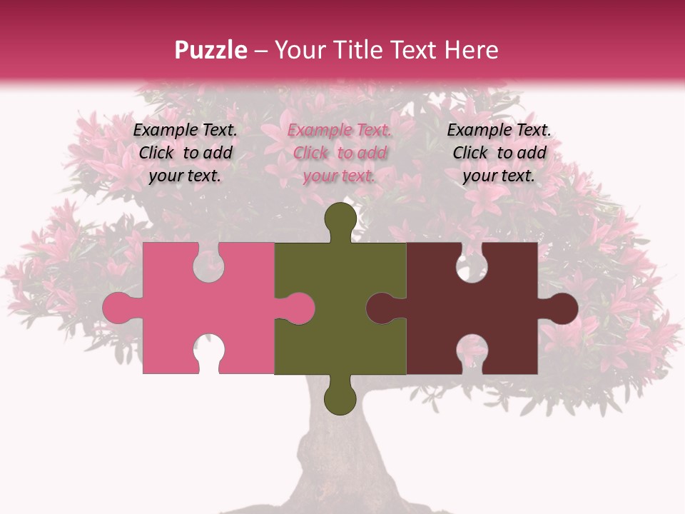 Portrait Elderly Calm PowerPoint Template