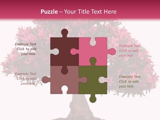 Portrait Elderly Calm PowerPoint Template