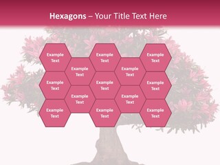 Portrait Elderly Calm PowerPoint Template