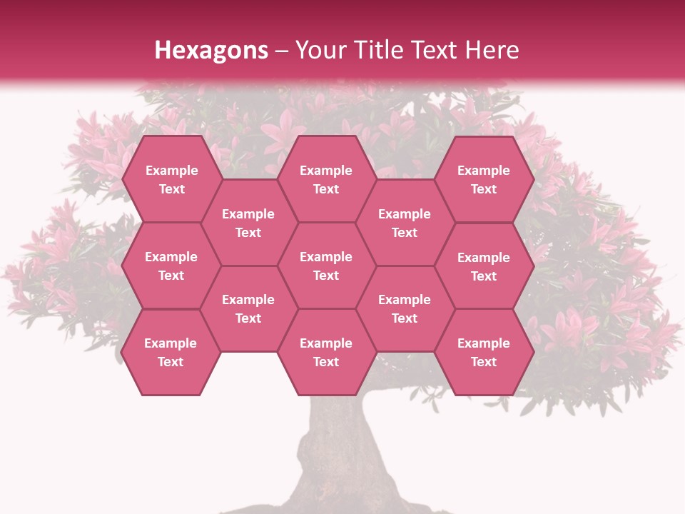 Portrait Elderly Calm PowerPoint Template