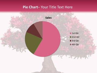 Portrait Elderly Calm PowerPoint Template