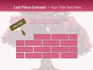 Portrait Elderly Calm PowerPoint Template