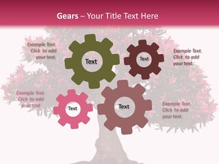 Portrait Elderly Calm PowerPoint Template