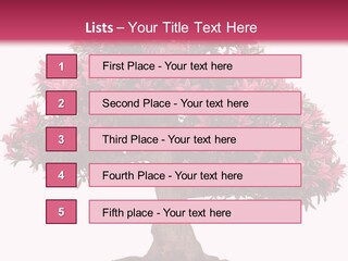 Portrait Elderly Calm PowerPoint Template