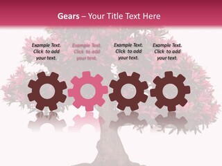 Portrait Elderly Calm PowerPoint Template