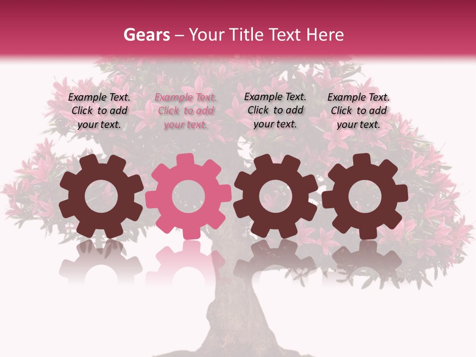 Portrait Elderly Calm PowerPoint Template