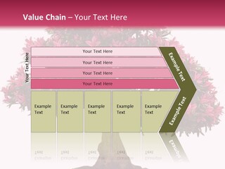 Portrait Elderly Calm PowerPoint Template