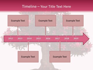 Portrait Elderly Calm PowerPoint Template