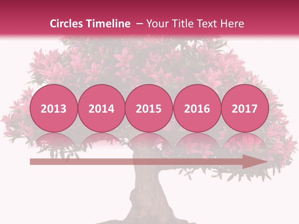 Portrait Elderly Calm PowerPoint Template