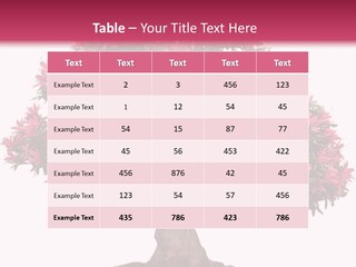 Portrait Elderly Calm PowerPoint Template