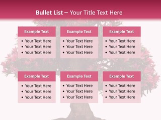 Portrait Elderly Calm PowerPoint Template