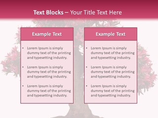 Portrait Elderly Calm PowerPoint Template