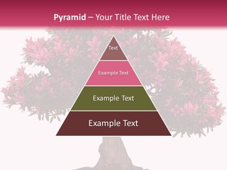 Portrait Elderly Calm PowerPoint Template