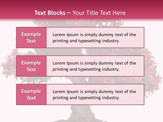 Portrait Elderly Calm PowerPoint Template
