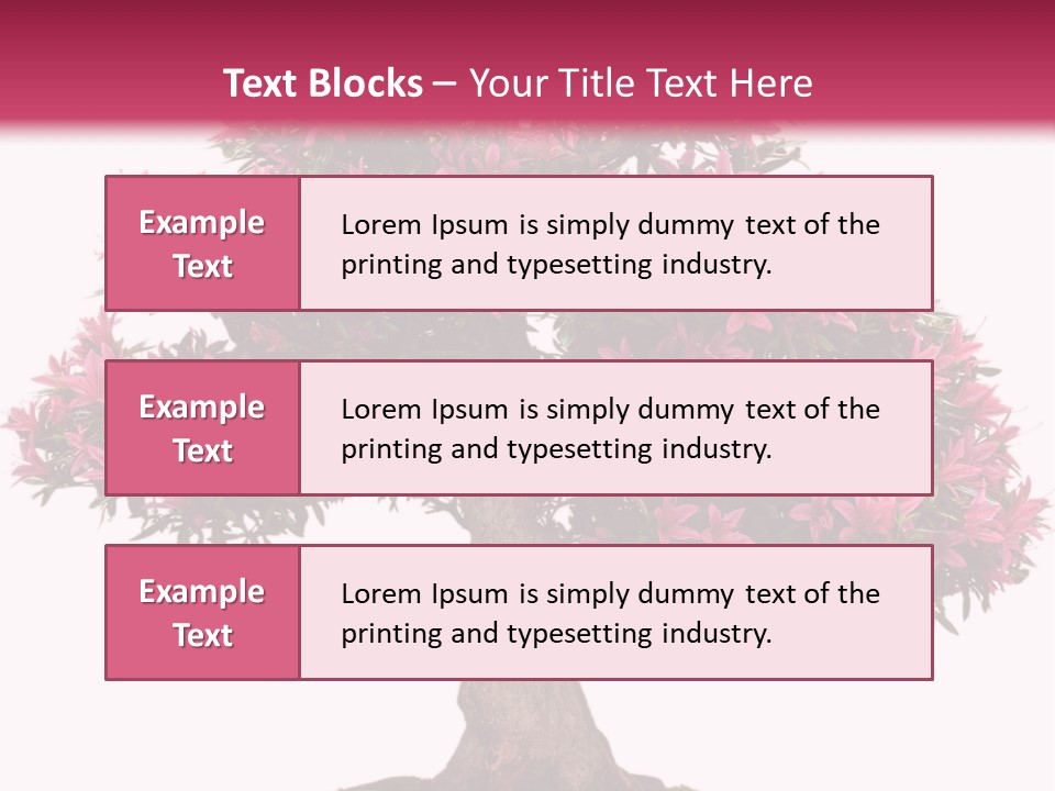 Portrait Elderly Calm PowerPoint Template