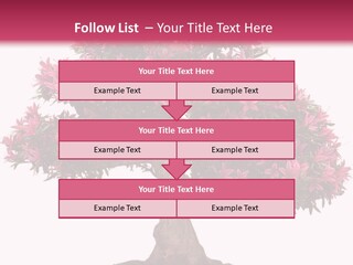 Portrait Elderly Calm PowerPoint Template