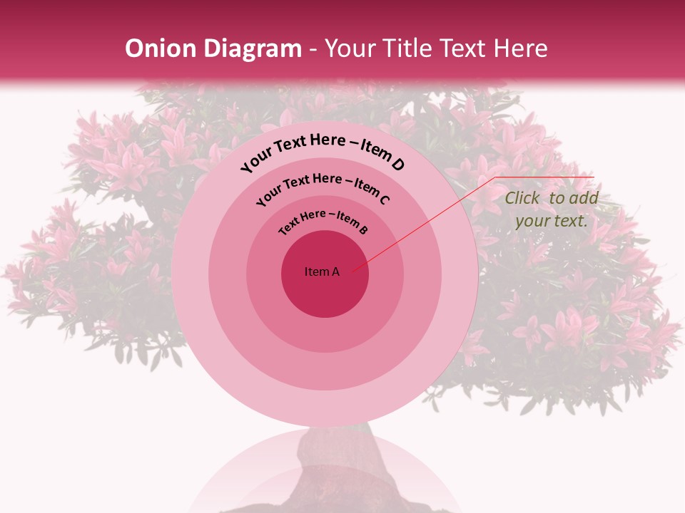 Portrait Elderly Calm PowerPoint Template