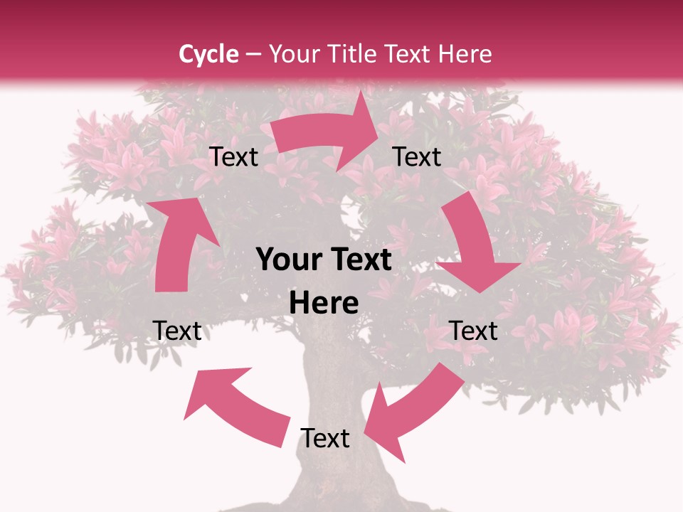 Portrait Elderly Calm PowerPoint Template