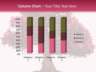 Portrait Elderly Calm PowerPoint Template