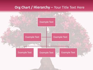 Portrait Elderly Calm PowerPoint Template
